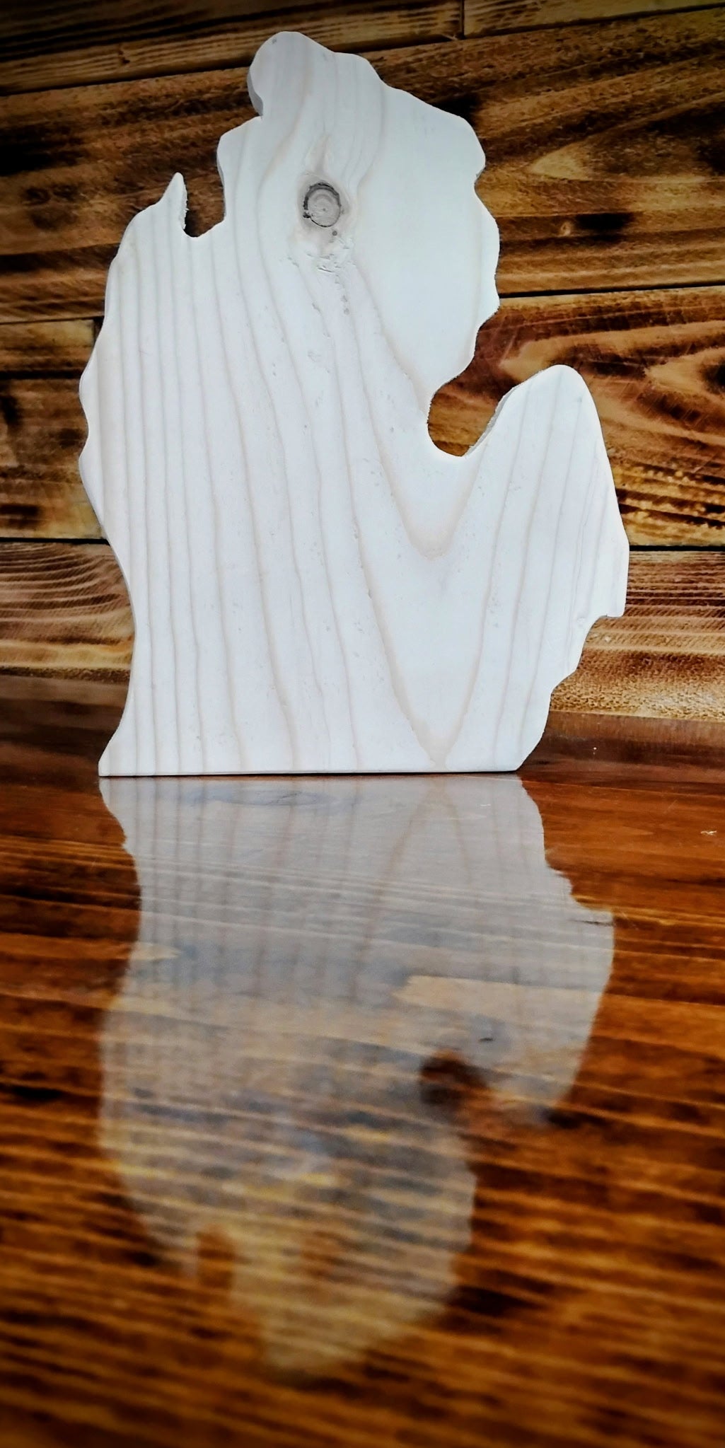 Plain Michigan cut out
